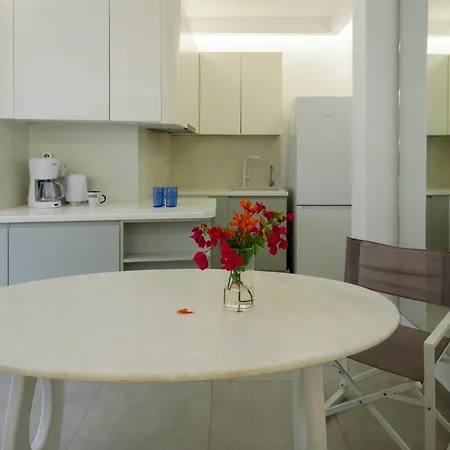 Apartment Covert Level With Terrace